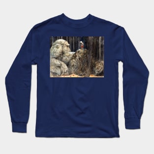 The Child and the Stone Troll - John Bauer Long Sleeve T-Shirt